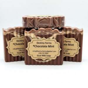 Chocolate Mint